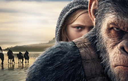 志愿服务队成立